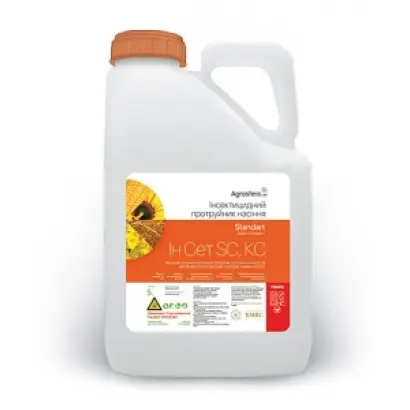 Ин Сет SC, КС