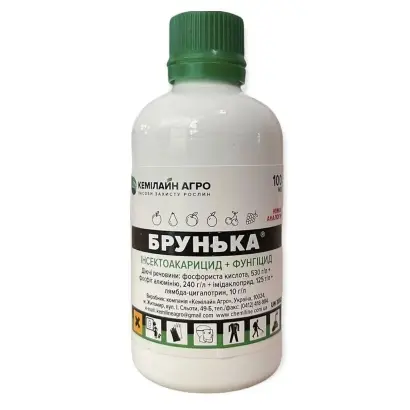 Брунька