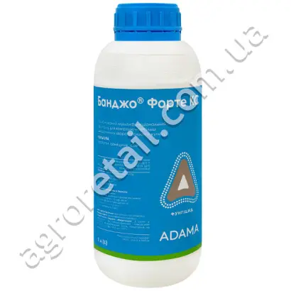 Банджо Форте