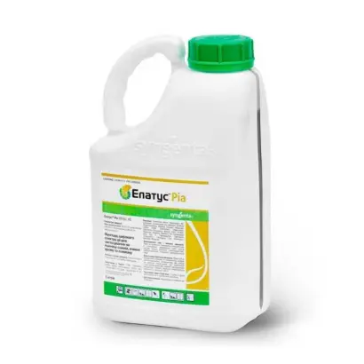 ЕЛАТУС РІА 358 ЕС