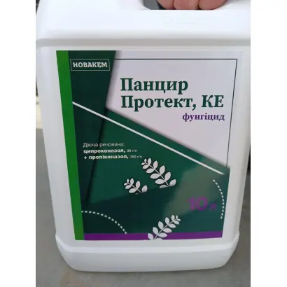 Панцир Протект