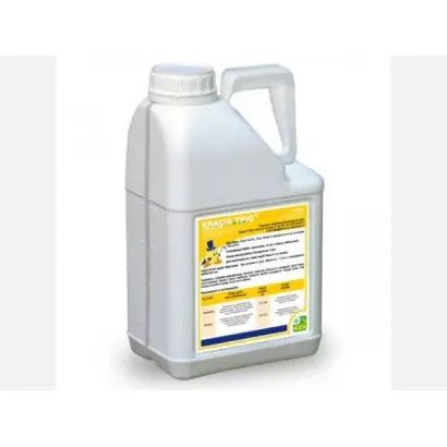 Класік Тріо