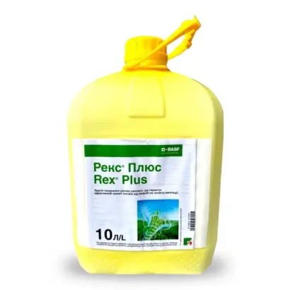 Рекс Плюс