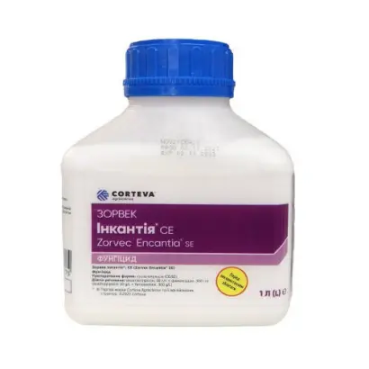 Зорвек Инкантия