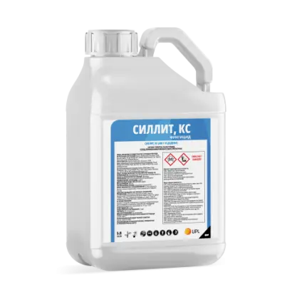 Силлит, КС