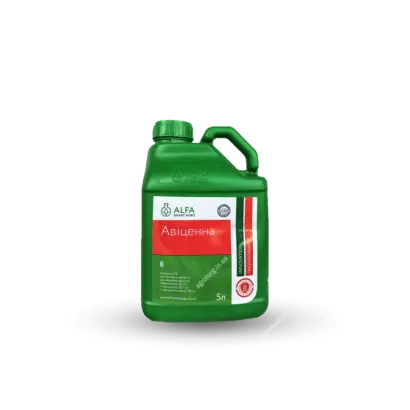 Авіценна, СЕ