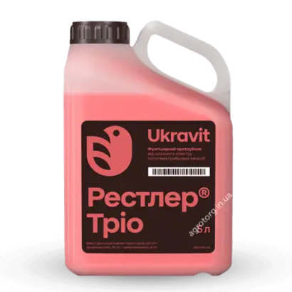 РЕСТЛЕР