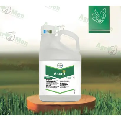 Аскра Xpro 260 EC