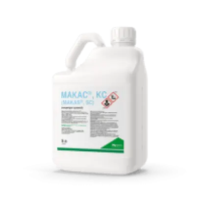 Манітоба КС