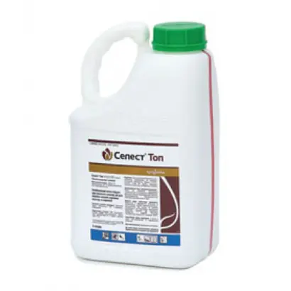 Селест Топ 312,5 FS