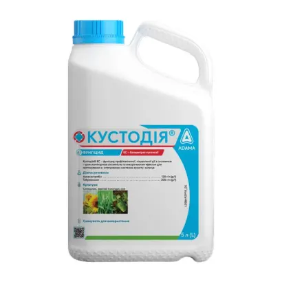 Кустодія КС