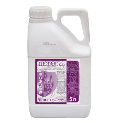 ДЕЗАЛ