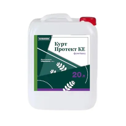 Курт Протект