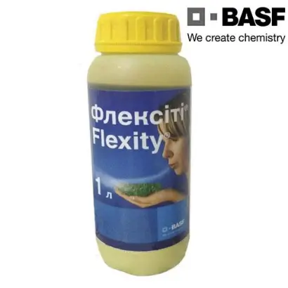 Флексити