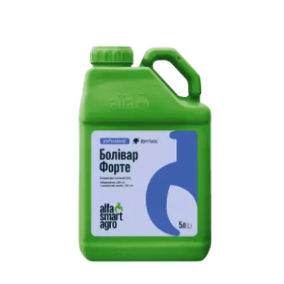 Болівар Форте