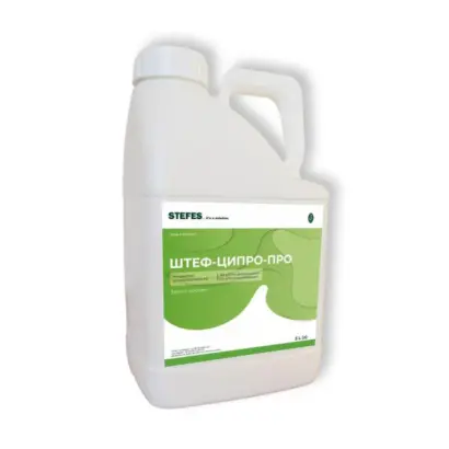 Штеф-ципро-про