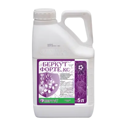 Беркут Форте