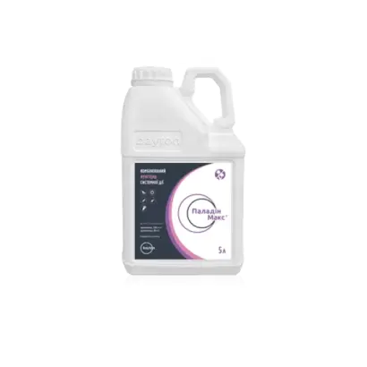 Паладін Макс