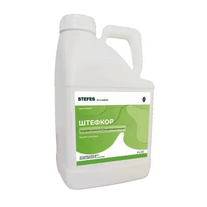 ШТЕФКОР