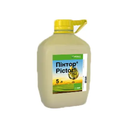 Піктор® Топ