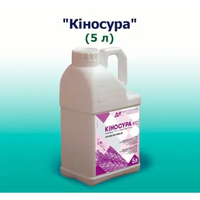 Кіносура