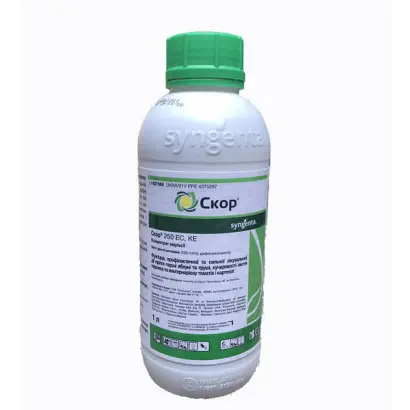 Сьоррендер FS