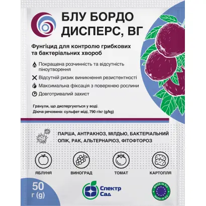 Блу Бордо Дисперс