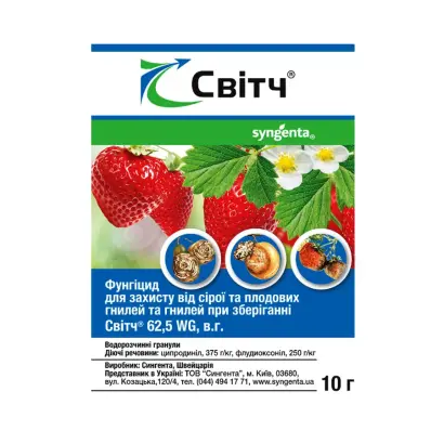 Супервінцит