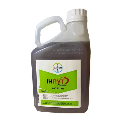 Класік, т.к.с.