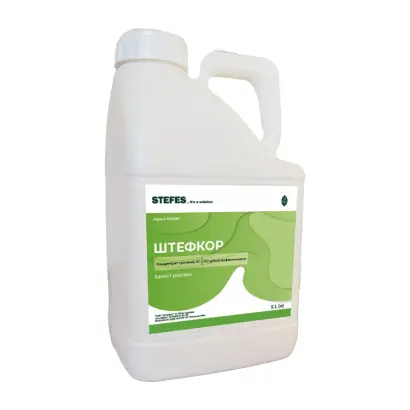 Штефікур к. с.