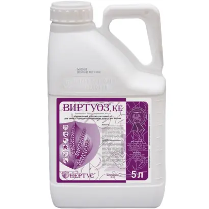 Віртуоз к.е.