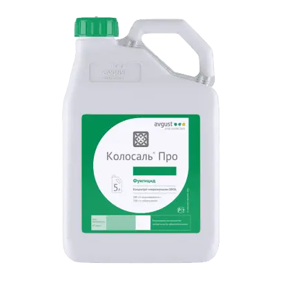 Колосаль Про к.н.е.