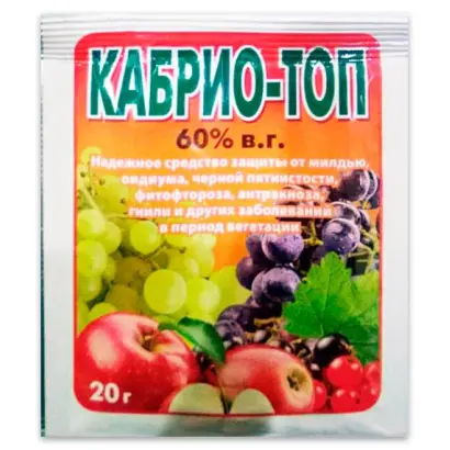 КАБРІО ТОП в.г.