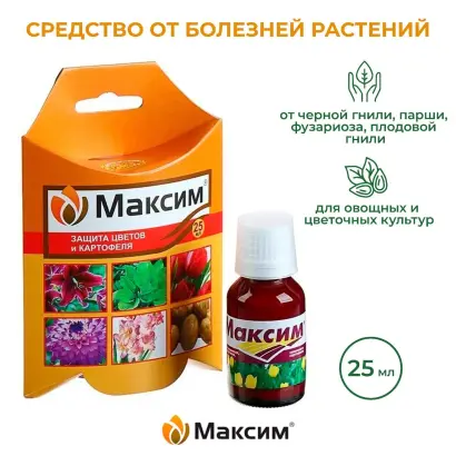 МАКСИМО, З.П.