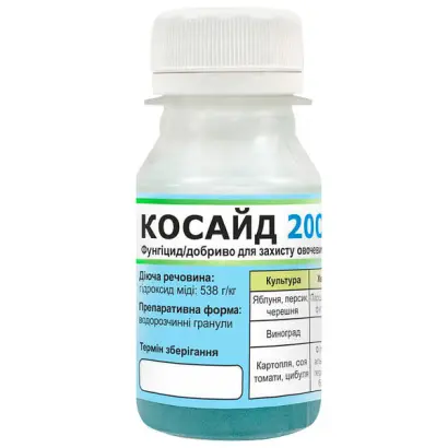 Косайд 2000 в.г.