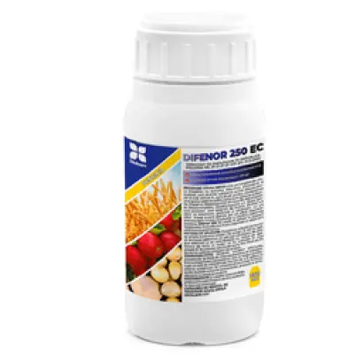 Дінасті 250 в.е.