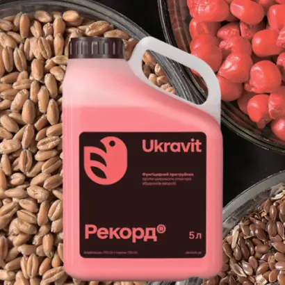 Рекорд т.к.с.