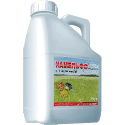 Камельфо к.с.