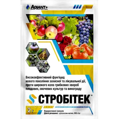 Стробітек в.г.