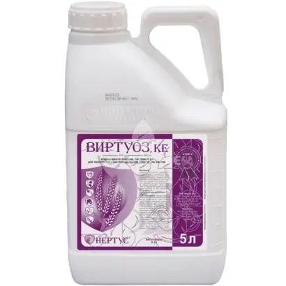 Вертуоз к.е.