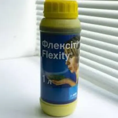 Флексити к.с.