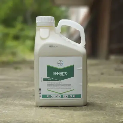 Инфинито 61 SC