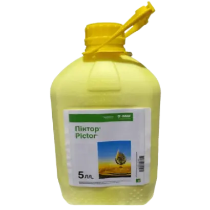 Кауритил ДФ В.Г.