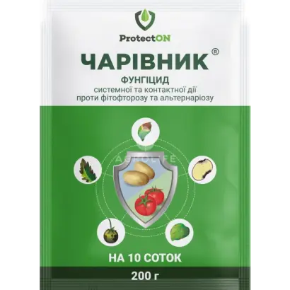 Чарівник з.п.