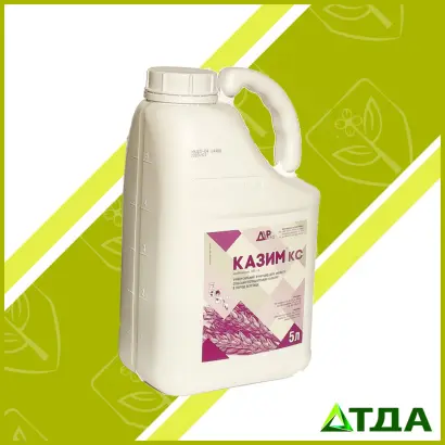 КАЗИМ КС