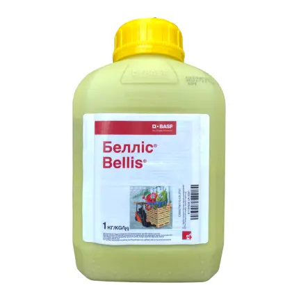 БЕЛЛІС