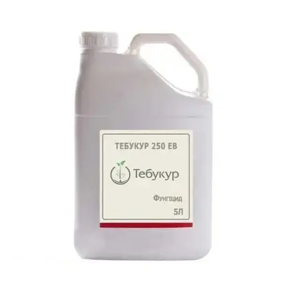 Тебукур 250 ЕВ