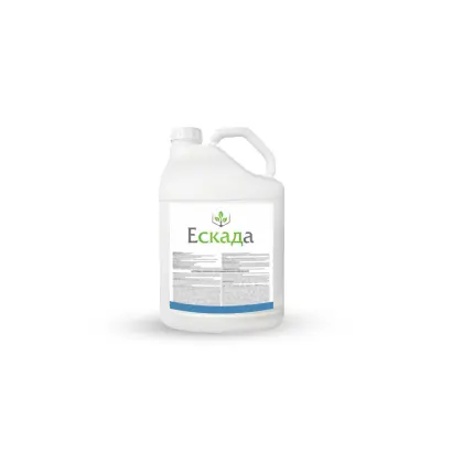 Ескада 488 КС