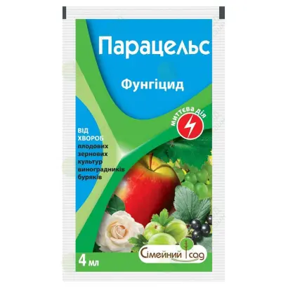 Зернятко, ВГ + ПАР «Парасолька»