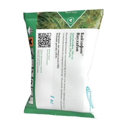 Байзафон ЗП